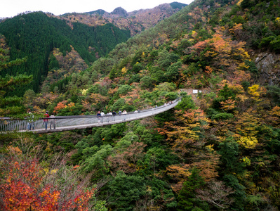 梅ノ木轟公園吊橋