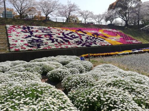 岡岳公園 アドベンチャーパーク 熊本松橋の長い滑り台や桜が有名な公園 八代連絡帳