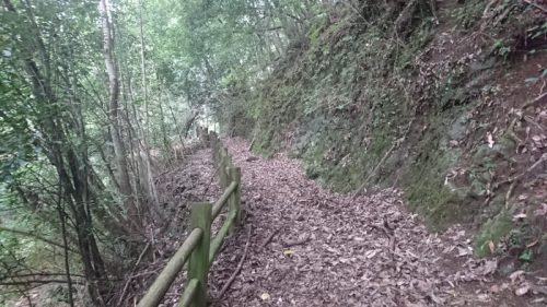 白岩戸公園吊り橋