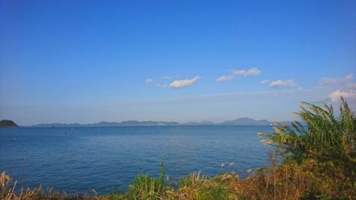 八代港クルーズ船見学地
