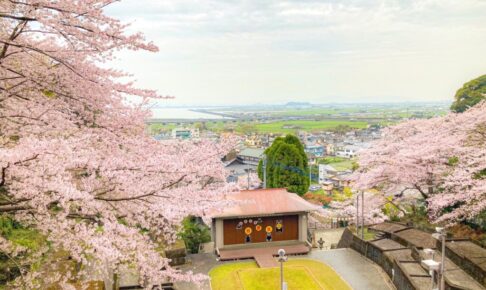 熊本県八代市の桜・お花見スポット