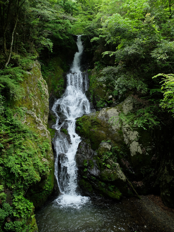 梅の木轟の滝