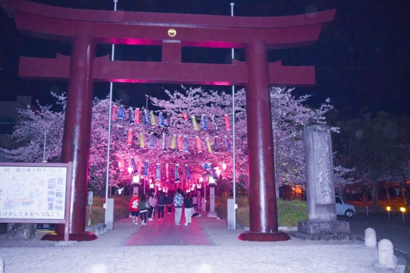 八代宮参道の夜桜ライトアップ