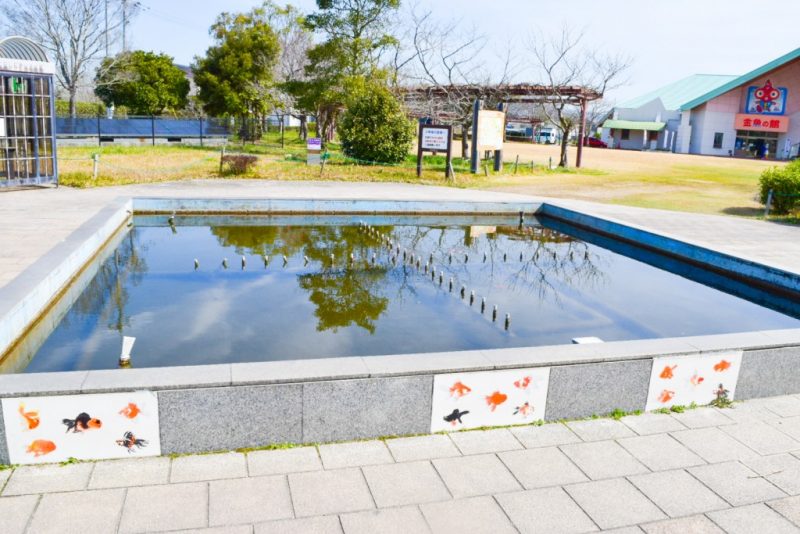 金魚と鯉の郷広場