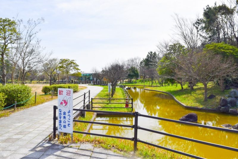 金魚と鯉の郷広場
