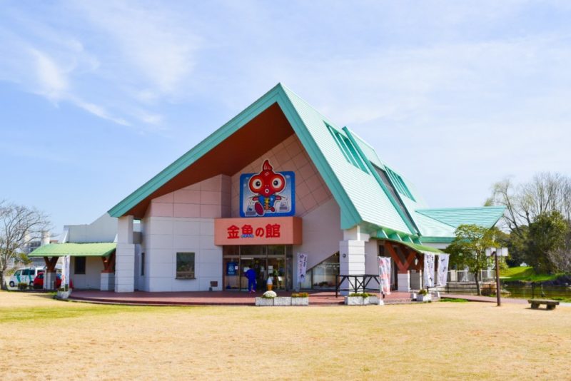 金魚と鯉の郷広場