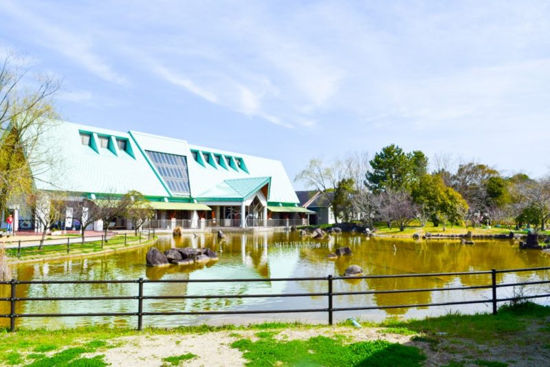 金魚と鯉の郷広場