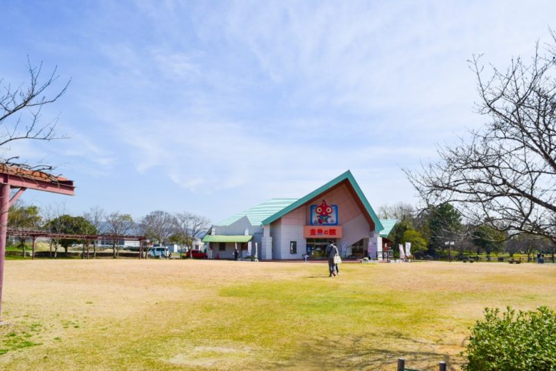 金魚と鯉の郷広場