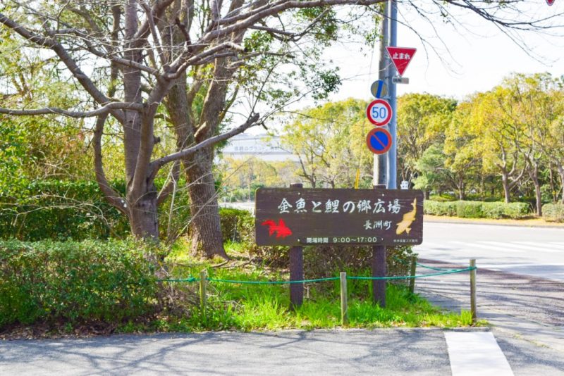 金魚と鯉の郷広場