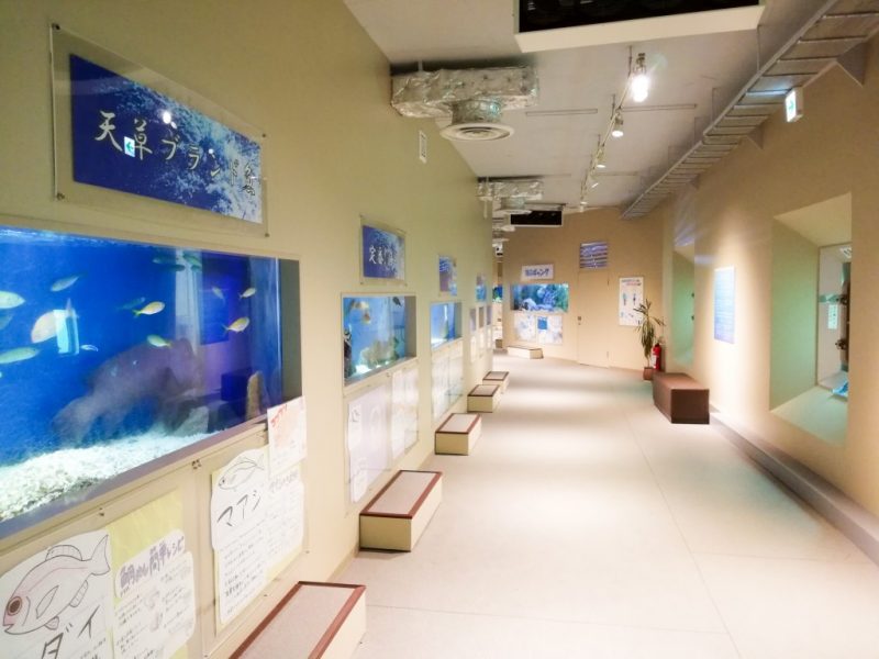 熊本天草水族館