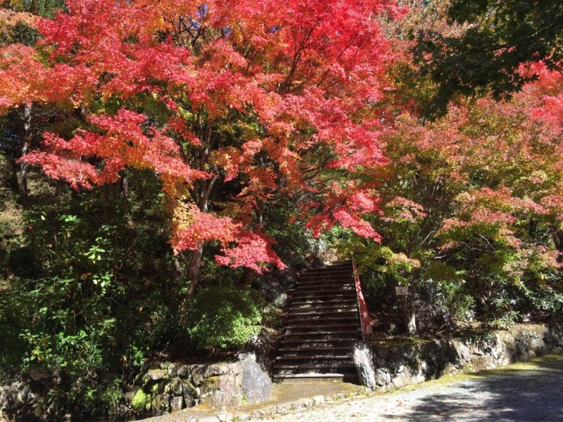五家荘平家の里